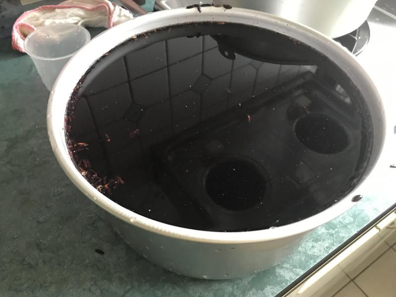 ������Ʈ�������յ�����