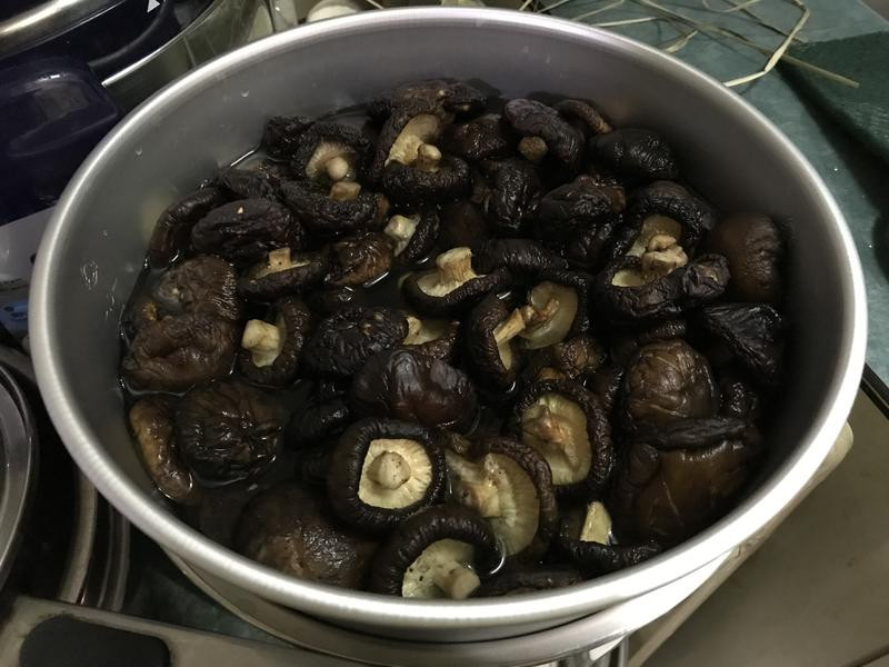 ������Ʈ�������յ�����