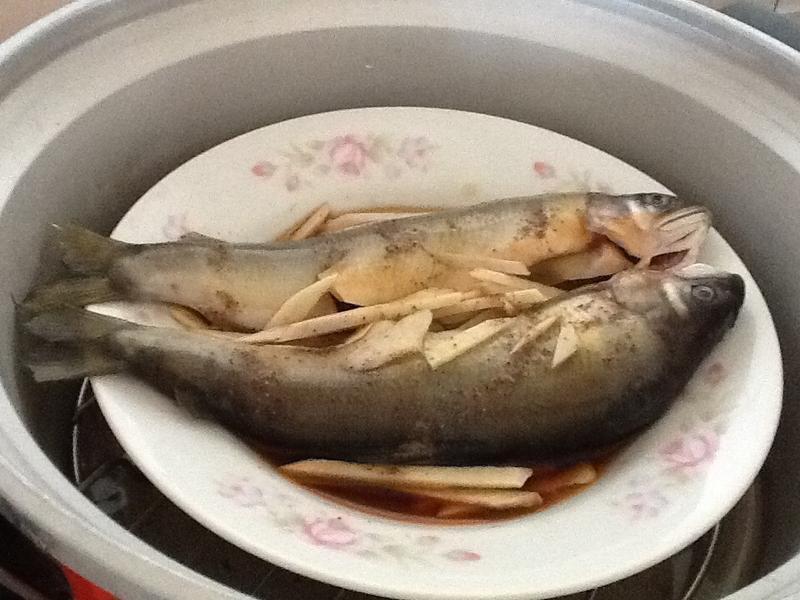 ����������������