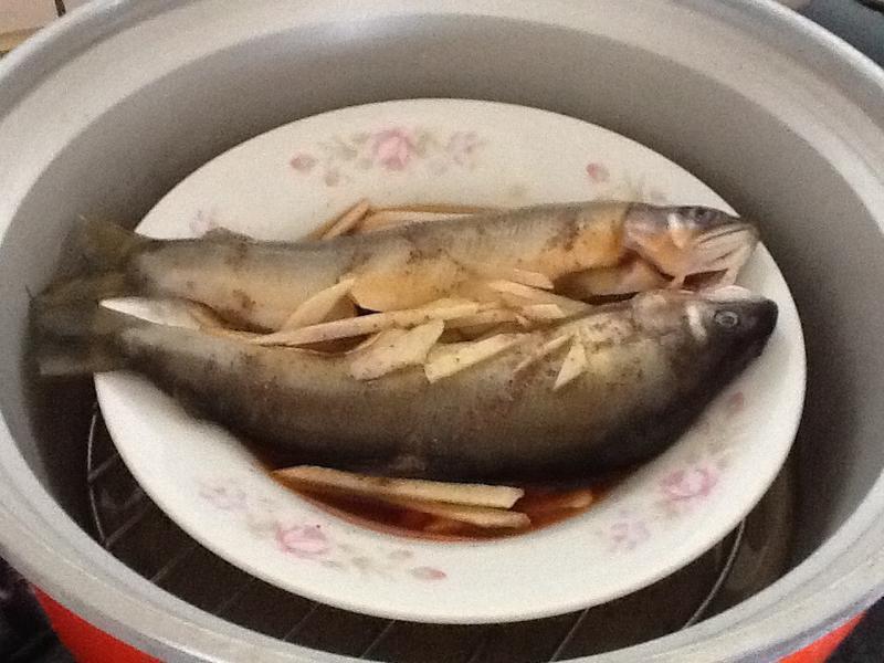 ����������������