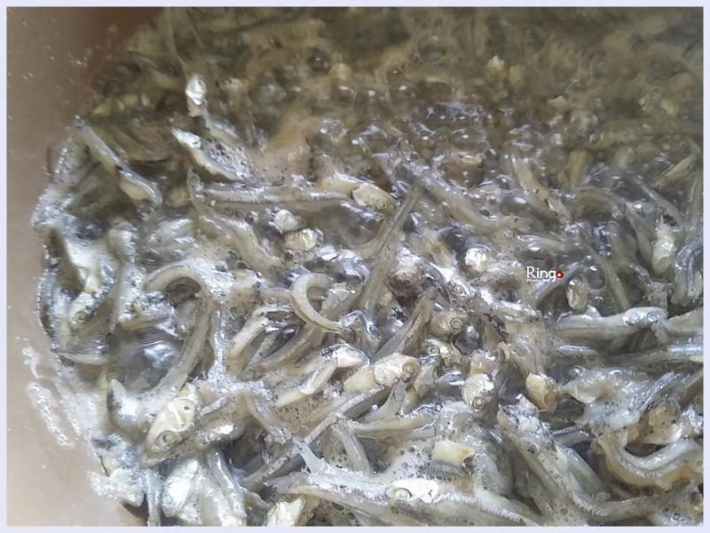 ��֭С��ɵ�����