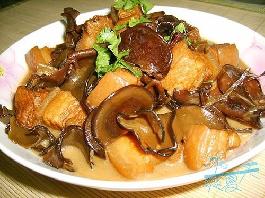 ��ľ�����������