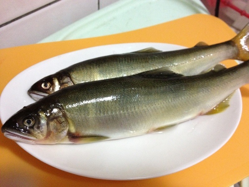 [С�װ�����] �μ����������