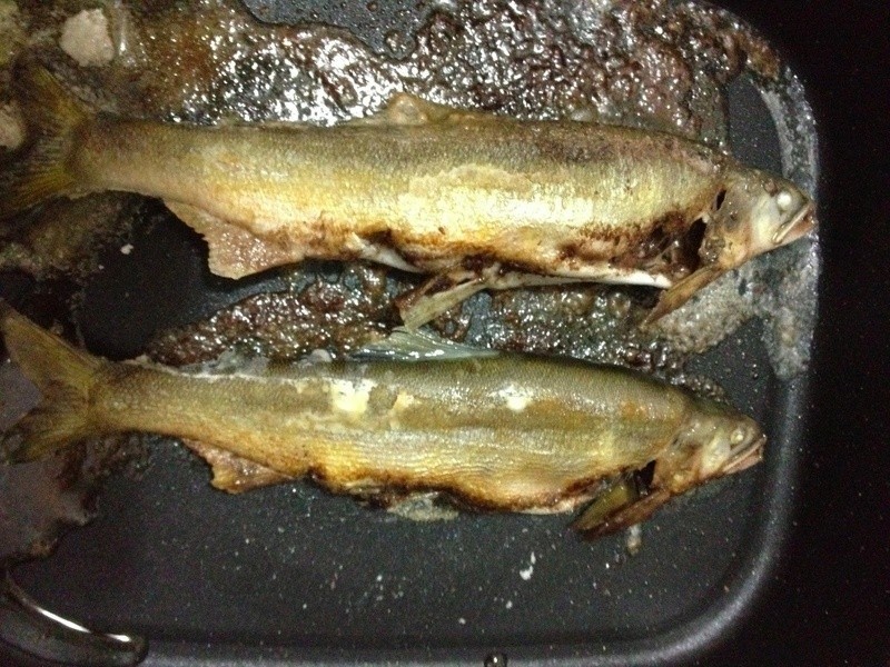 [С�װ�����] �μ����������