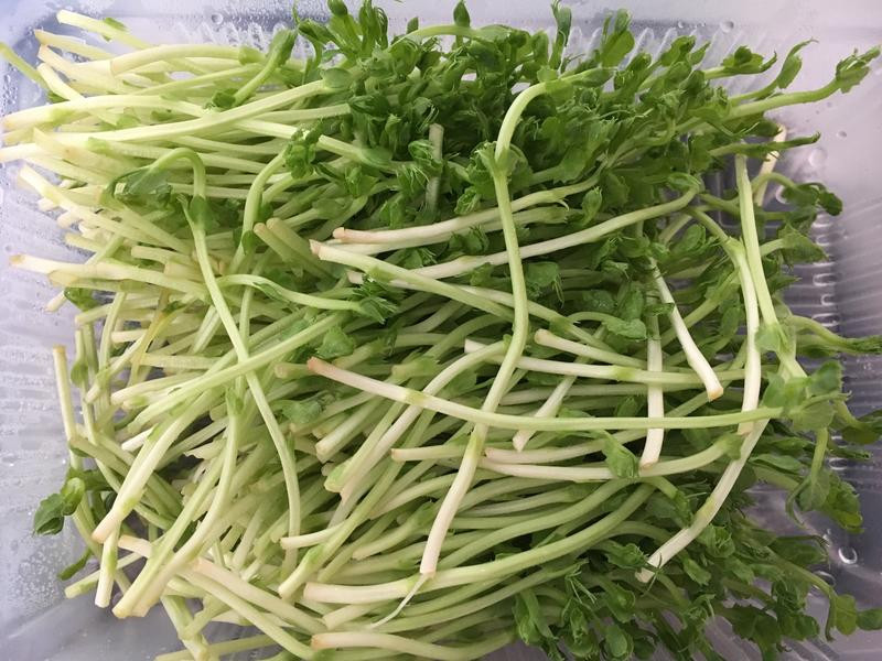 �㶹���������