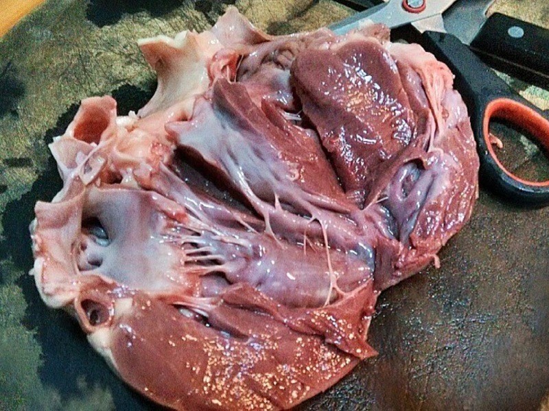 ��������ˬ������