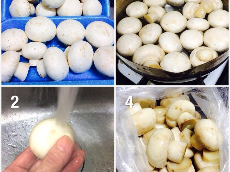 ���桾Ģ������ڡ��ķ���������