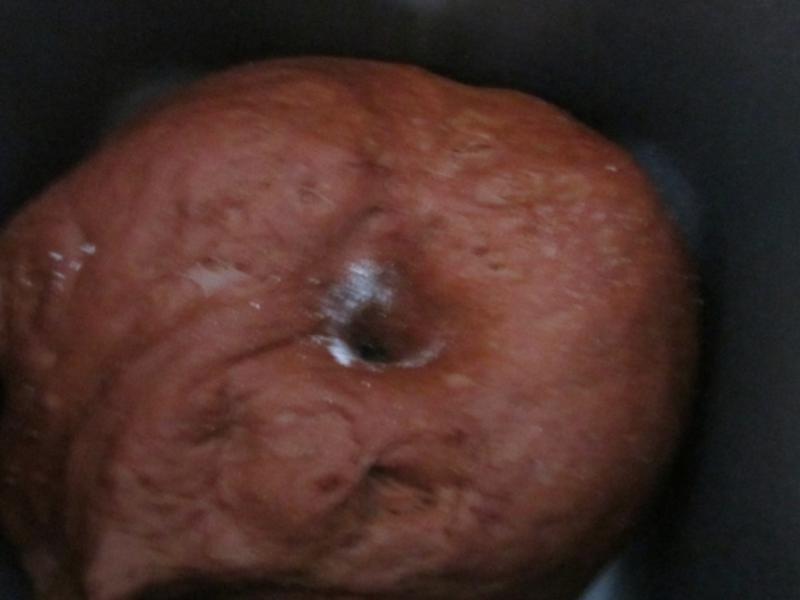 ���ʺ��ƻ��(�ɿ�ƻ�����)������