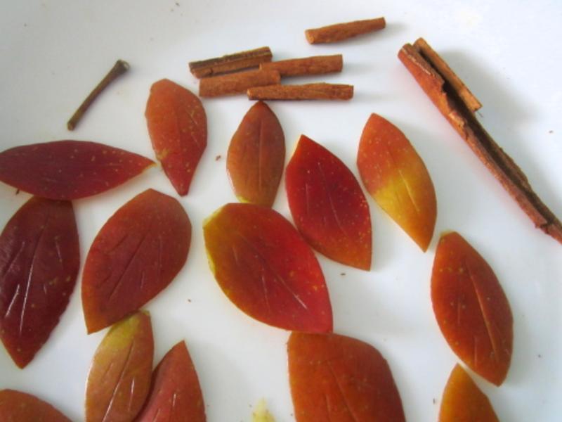 ���ʺ��ƻ��(�ɿ�ƻ�����)������