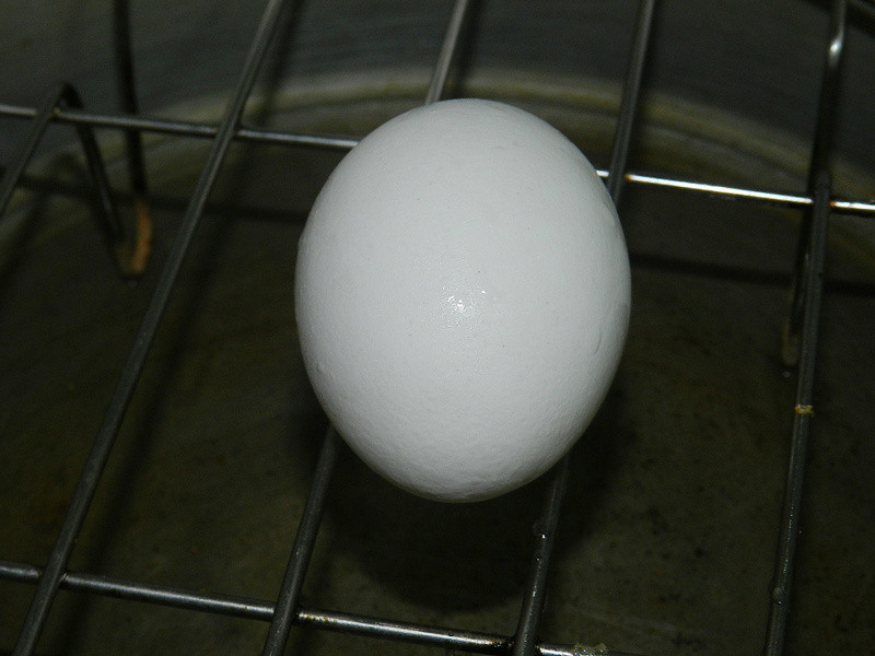 �콴����������������