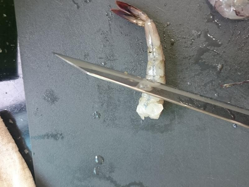 ������Ϻ�������