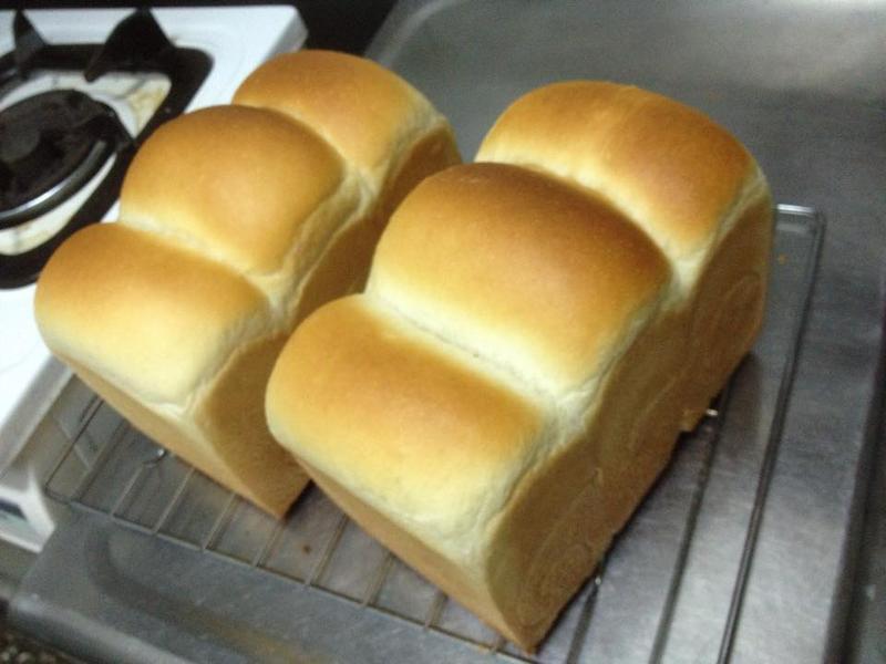 ɽ����˾������