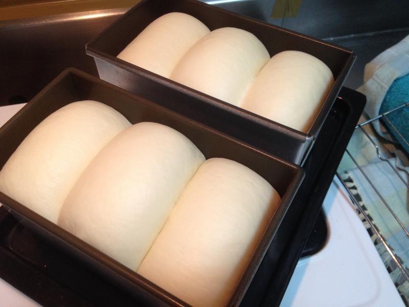 ɽ����˾������