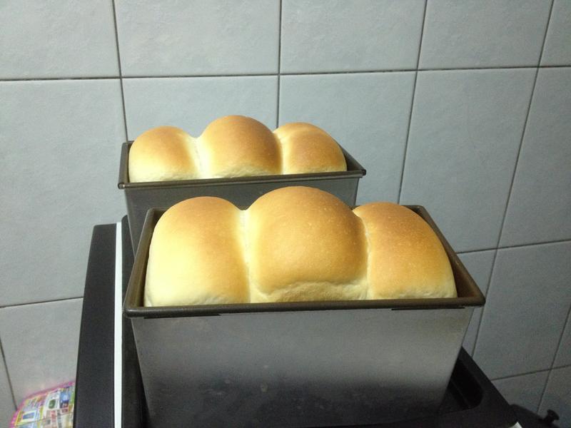 ɽ����˾������