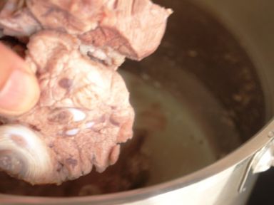 ����ʳ�� - ������Ѽ��������