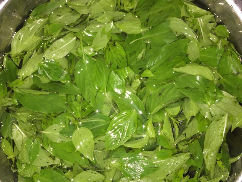 ���أ��������ӵ�����