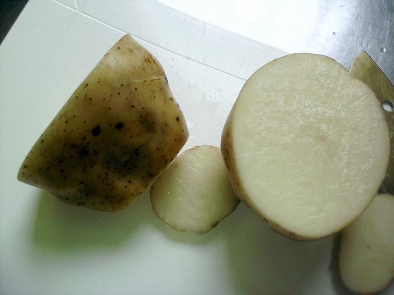 ������Ũ����˾�յ�����