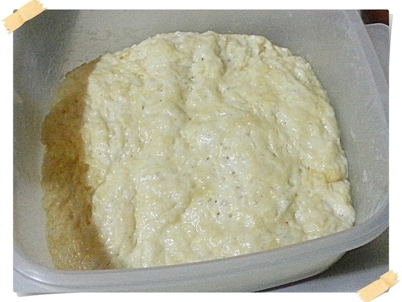 �����������л����(����)������