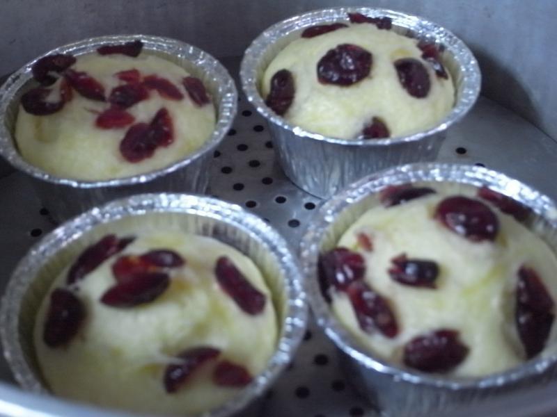 ӥ�����̡���Խݮ�����������