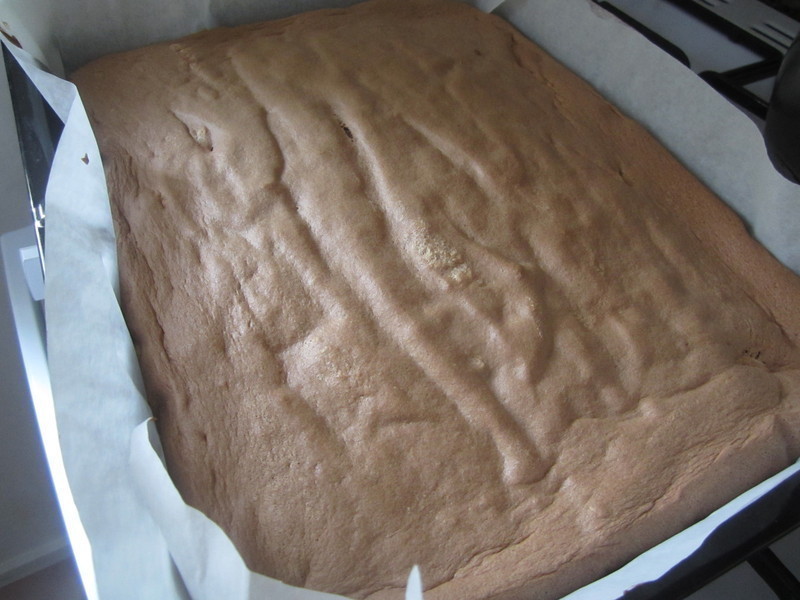 ����1---�ɿ�����ݮ��������