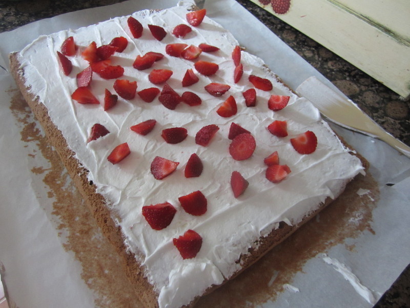 ����1---�ɿ�����ݮ��������