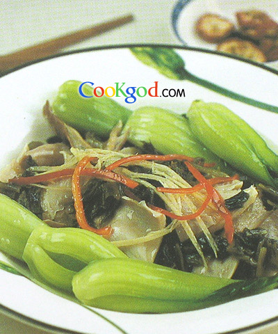 ������ˬ�ǵ�����