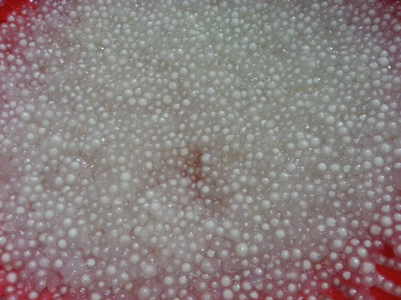 �㽶�۹�����¶������