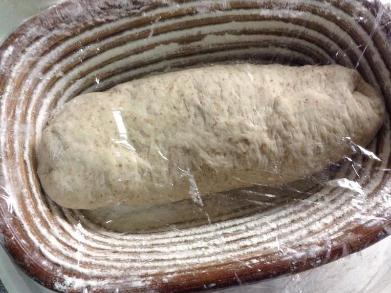 ��ѿ������������