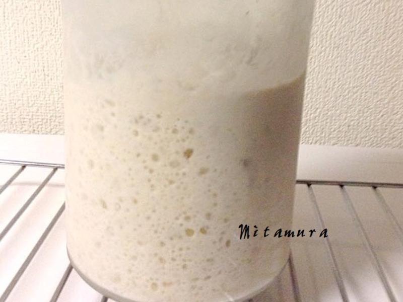 ��ѿ������������