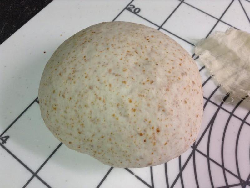 ��ѿ������������