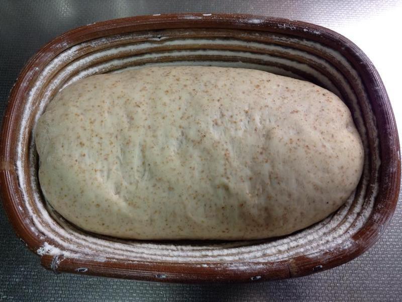 ��ѿ������������