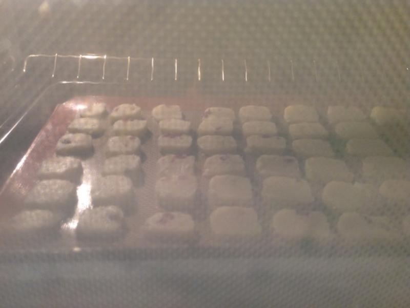 �����������Խݮ����?!!!������