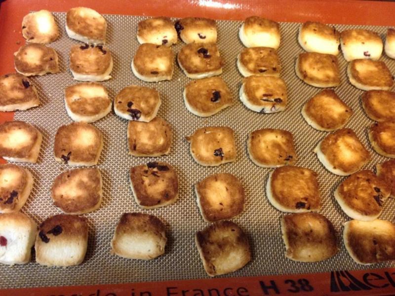 �����������Խݮ����?!!!������