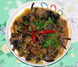 �ڼ������Ģ������