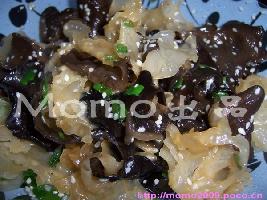 ֥��˫��������