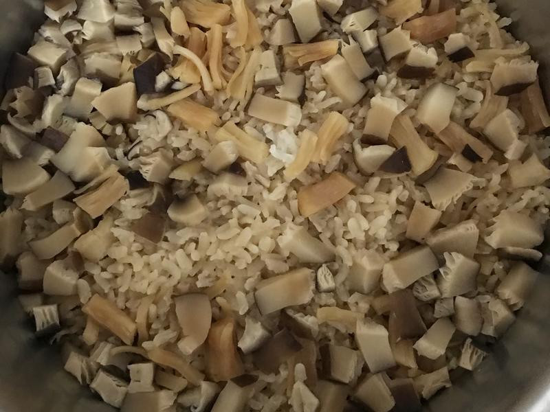 �㹽�ɱ�����������