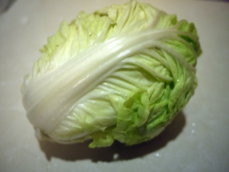 ?����ҹʳ�á��������ˡ�����`�ॷ����`��������