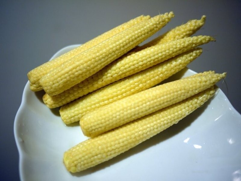 ?����ҹʳ�á��������ˡ�����`�ॷ����`��������