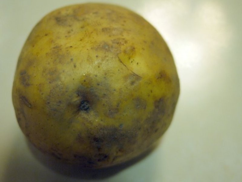 ?����ҹʳ�á��������ˡ�����`�ॷ����`��������