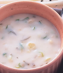 ������ͽ�������