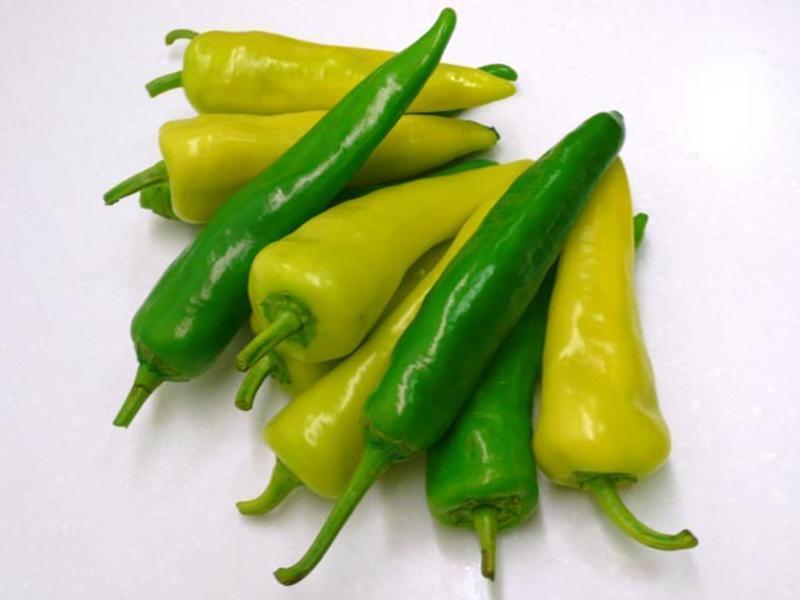 �������� ��ʥ��ſ��1������