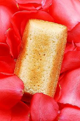 õ�����ѩ������