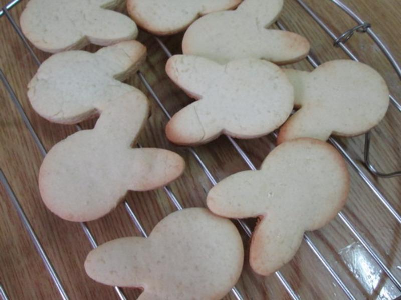 ��֬���ֱ��ɵ�����