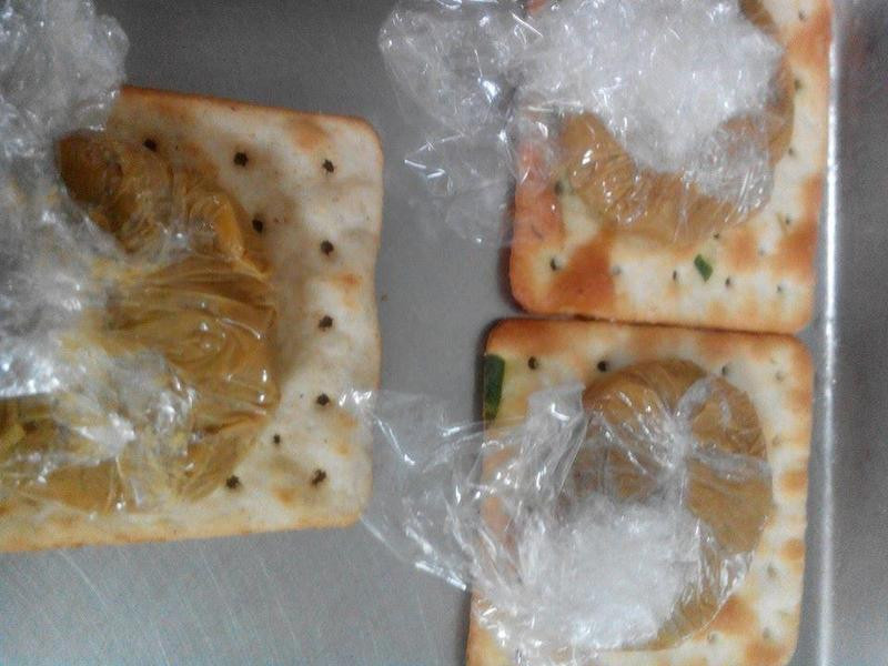 ��ʥ���մ����(��Ȼ�դα���ſ)������