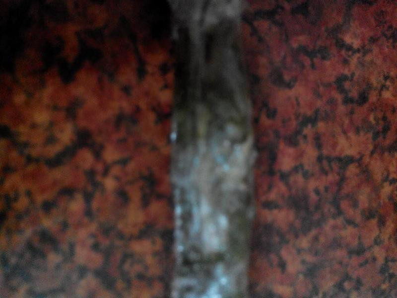 ��ʥ���մ����(��Ȼ�դα���ſ)������