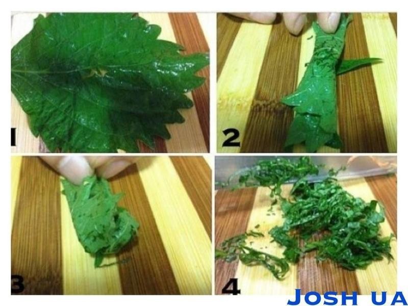 [ ��θ ] ��Τ�������tataki��������