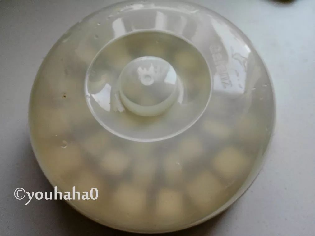 �ͼ�����ë����������