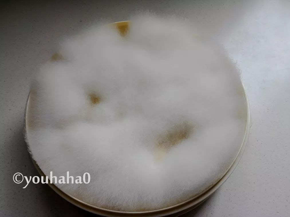 �ͼ�����ë����������