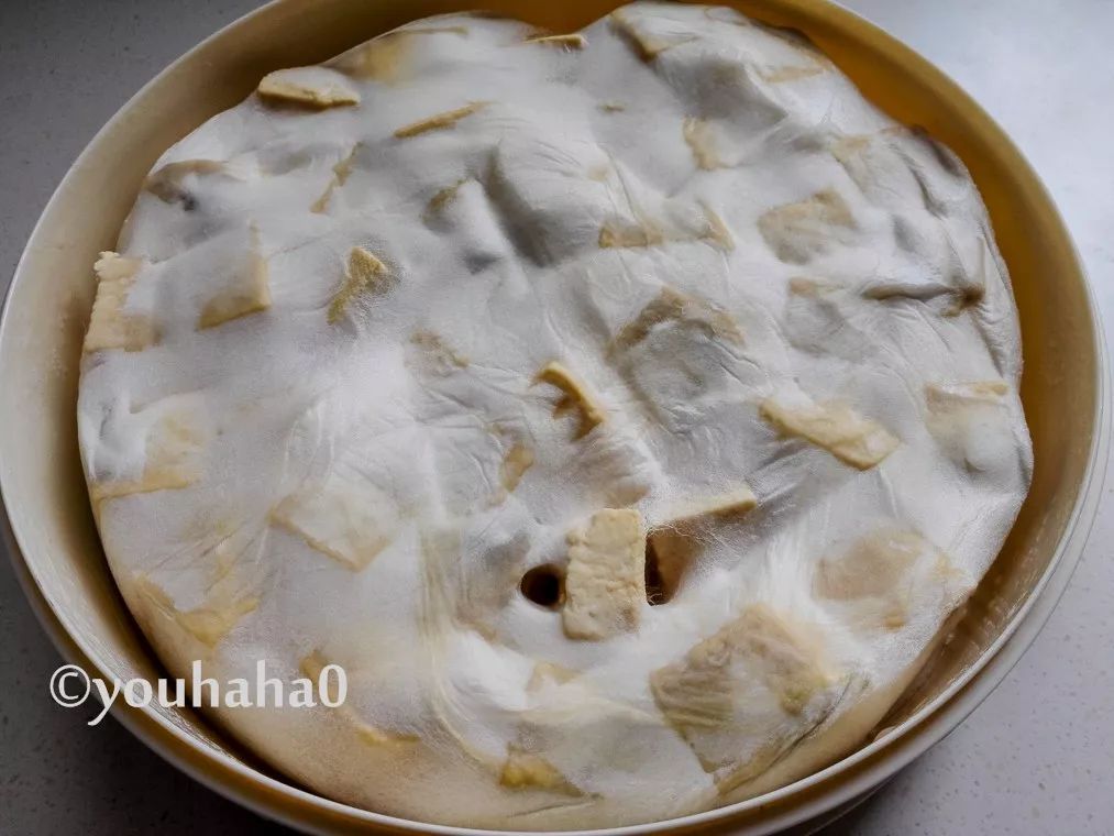 �ͼ�����ë����������