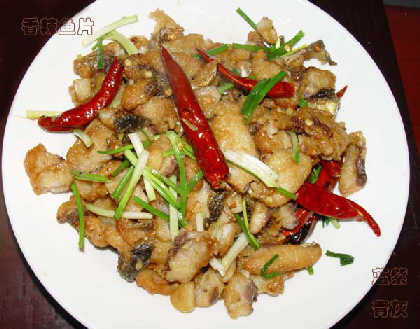 ������Ƭ������